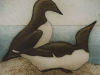 two_murres